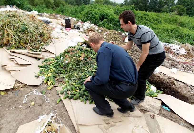 Приморский край. Государственное сельхозпредприятие из города Артёма предпочитает уничтожать тонны тепличных овощей, нежели снизить на них цену