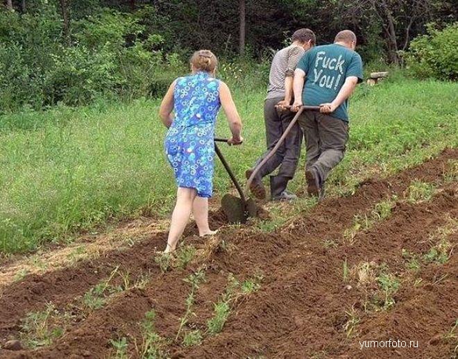 Газета «Правда». Газовый гигант просит дачников самоликвидироваться