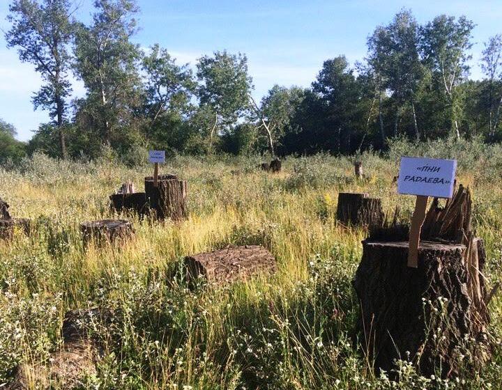 Саратовский комсомол объявляет  бессрочную экологическую акцию