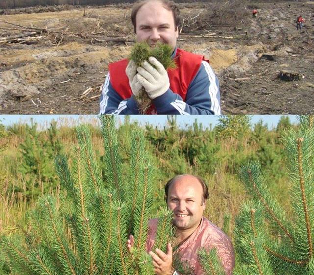 Рязанская область. Высаженные комсомольцами шесть лет назад саженцы сосны превратились в лесной участок