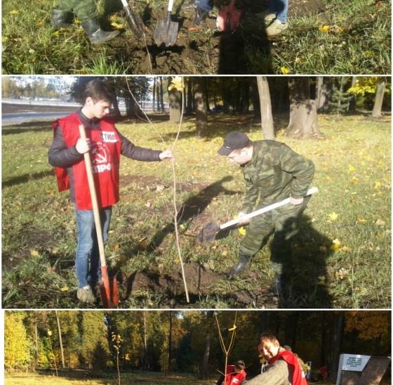 Тульский обком продолжает акцию «100 деревьев в честь столетия Великого Октября!»