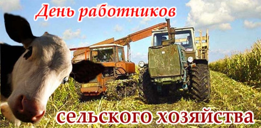 В.И. Кашин: «Поздравляю с Днем работника сельского хозяйства и перерабатывающей промышленности и выражаю огромное уважение и благодарность всем, кто ежедневно от зари до зари трудится на родной земле!»
