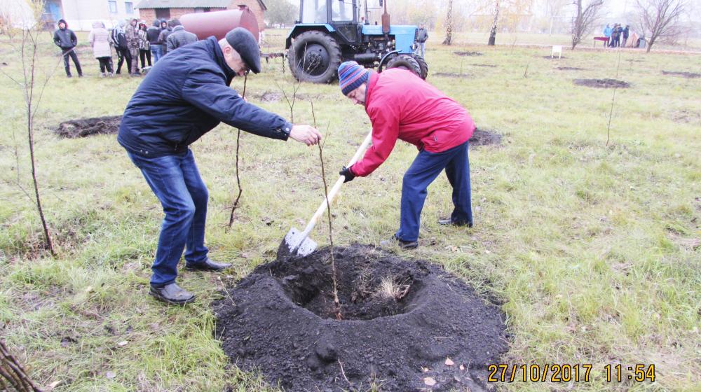 В Воронежской области появился живой мемориал - грушевый сад  в честь 100-летия Великого Октября