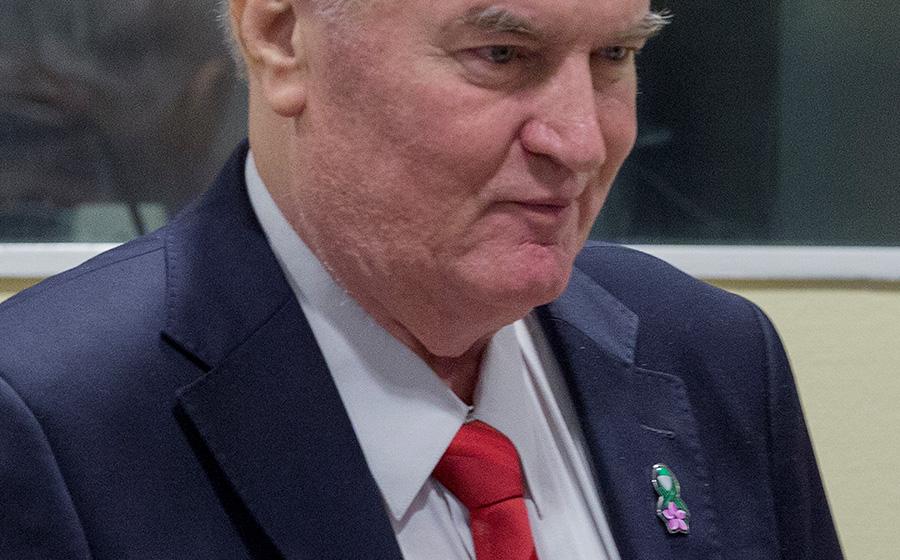 Иван Мельников прокомментировал галстук Младича с символикой партии