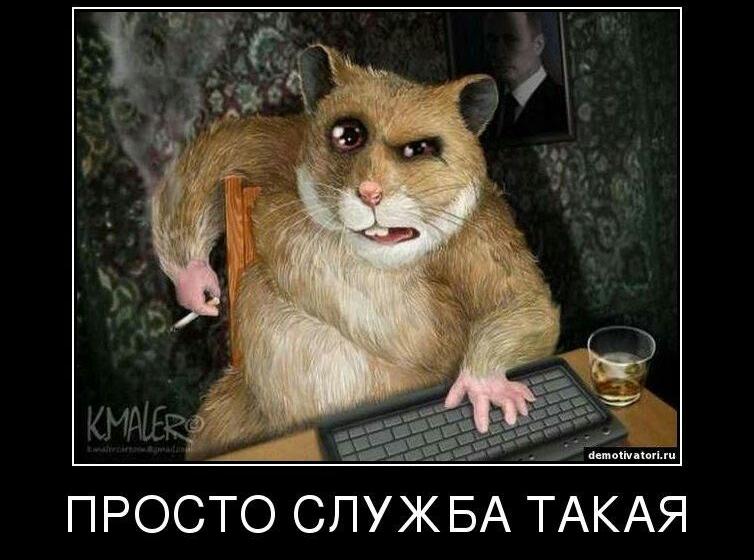 «Атака клонов». Контент-анализ «информационных» сюжетов о предвыборной кампании на федеральных телеканалах. 2-4 февраля 2018 года