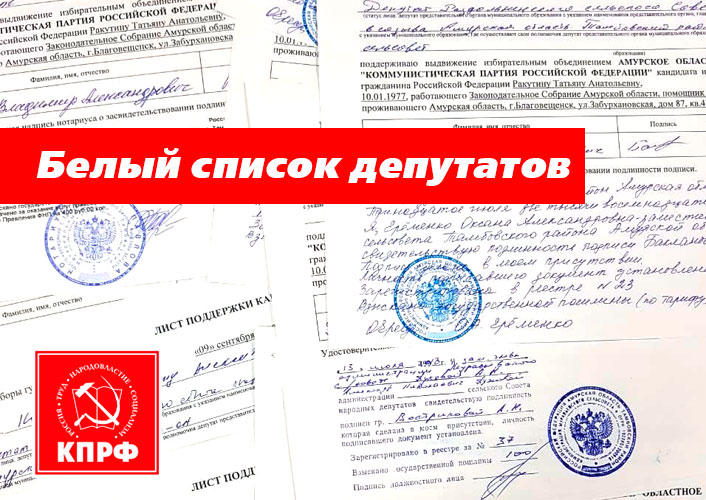 В Приамурье формируется «белый список» депутатского корпуса и глав муниципалитетов