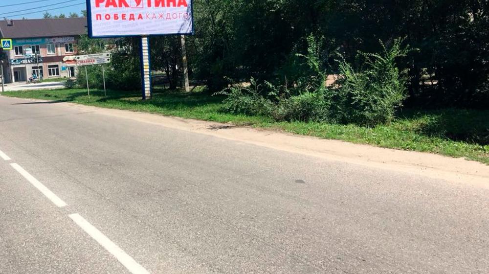 В Приамурье появились агитационные баннеры Татьяны Ракутиной