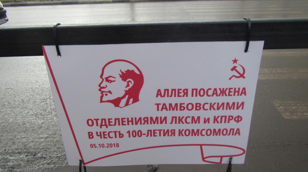 В Тамбове появилась «красная» берёзовая аллея