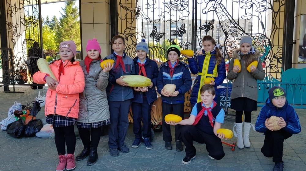 Пионеры школы №23 г. Новосибирска  продолжают марафон добрых дел