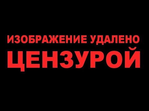 Путин подписал пакет законов об оскорблении госсимволов