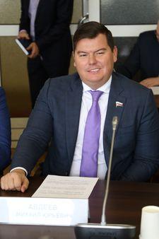 Михаил Авдеев:  ГИБДД продолжит выдавать номерные знаки