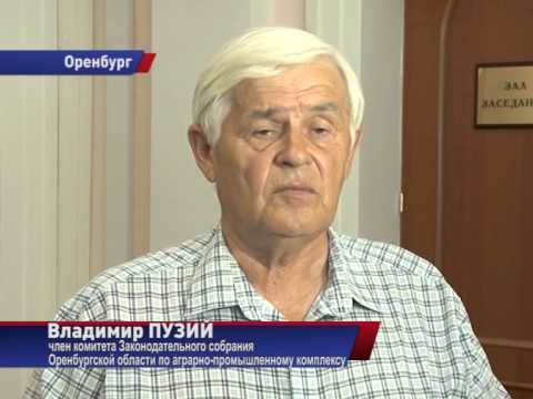 Известный хозяйственник Владимир Пузий: «Грудинина признать бы Героем Труда, а его травят»