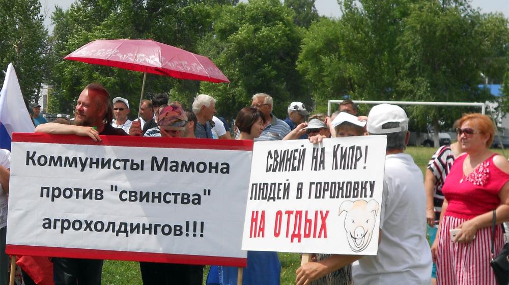 Воронежская область. Против «свинства» агрохолдингов