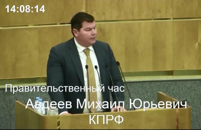 М.Ю. Авдеев выступил на правительственном часе в Государственной Думе