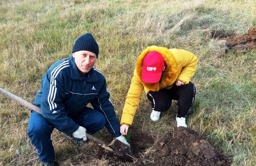 Саратовская область (р.п. Романовка). "Сад Победы – Сад Жизни"