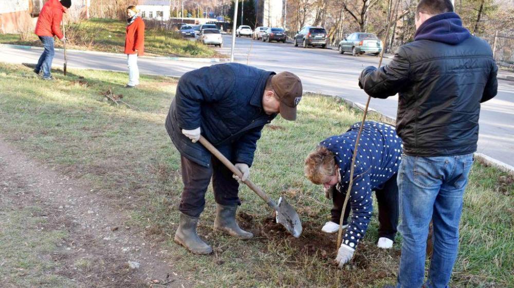 В Туле продолжается акция «Сад Победы - Сад Жизни»