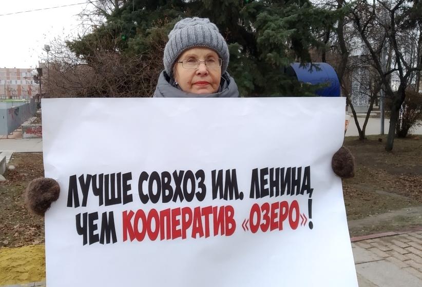 В Пензе 30 ноября прошли пикеты в поддержку Грудинина и Левченко