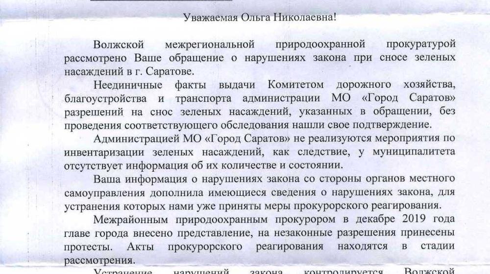 Саратов. Ответ на запрос Ольги Алимовой. Природоохранная прокуратура заинтересовалась вырубкой деревьев в областном центре