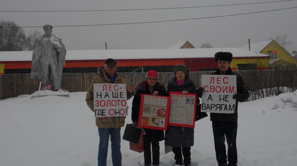 Кировская область. «Лес – наше золото. Где оно?» Лузский райком КПРФ организовал акцию протеста