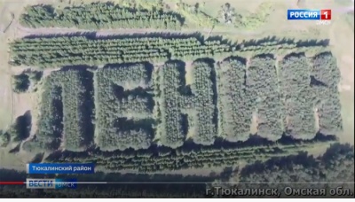 Газета "Правда". Омские школьники обнаружили геоглиф ЛЕНИН - из сосен и елей