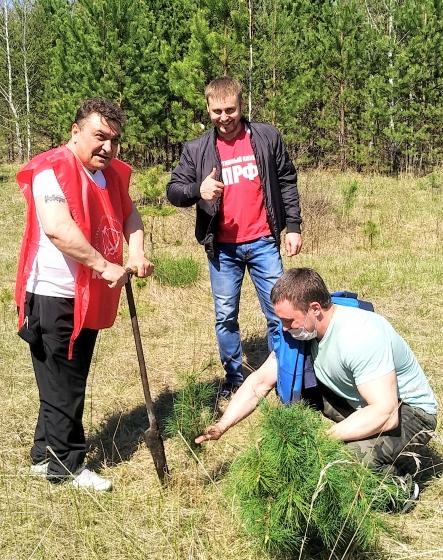 Курган. Сад  Победы - в жизнь!