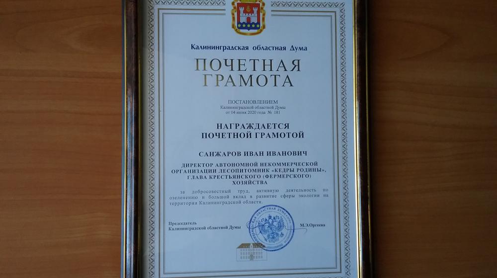 Калининградская область. Один миллион кедров к 75-летию Победы!