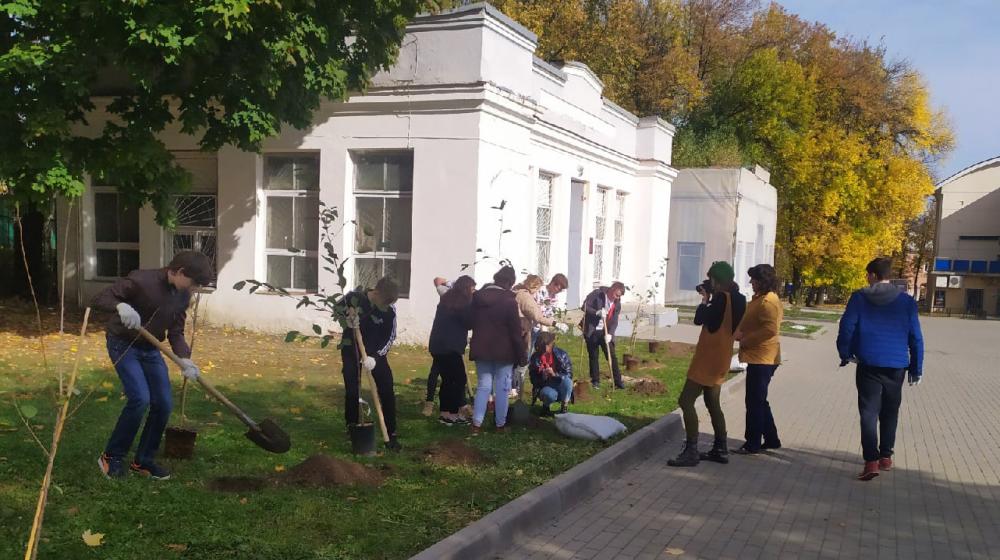 Владимирская область. Украсим родину садами