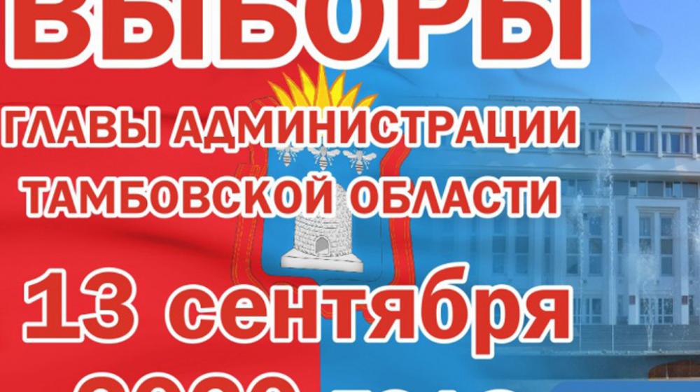 Спешили, каруселили, рисовали и переписывали. Особое мнение члена  избирательной комиссии Тамбовской области с правом решающего голоса А.В. Поповой