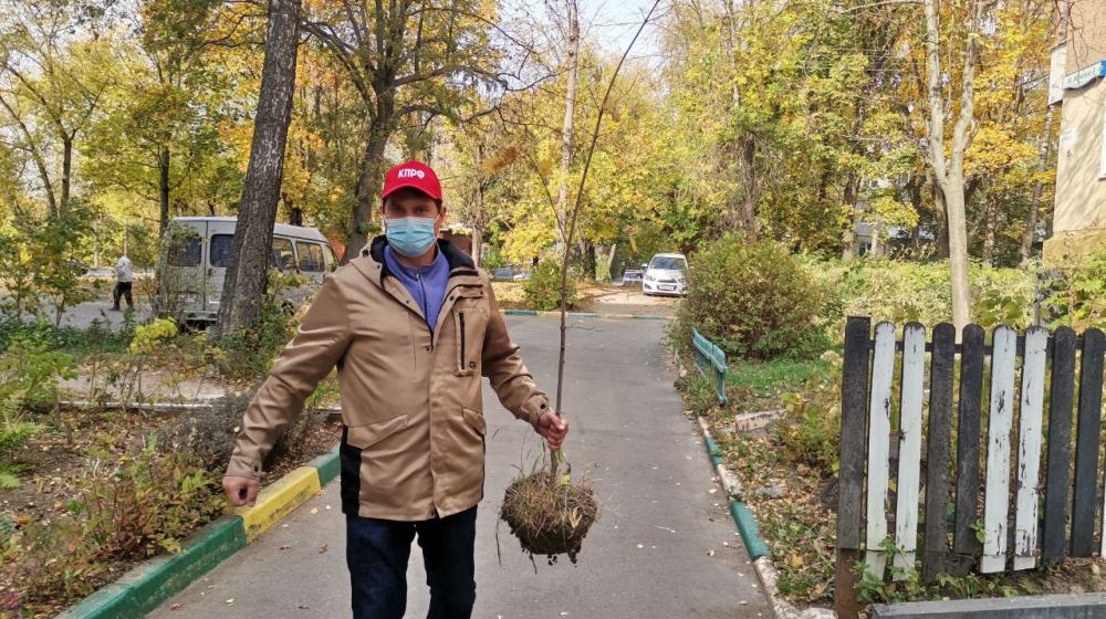 Тульские коммунисты продолжают посадку деревьев в регионе в рамках акции «Сад Победы - Сад Жизни»