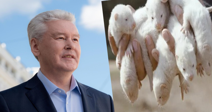 Сергей Обухов: Хотим ли мы стать норками из датского королевства?