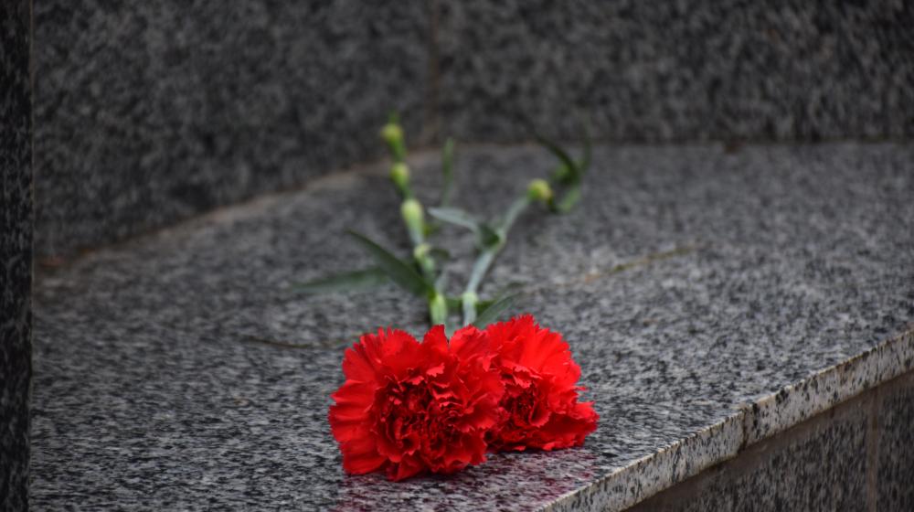 Севастопольские коммунисты, комсомольцы и члены ССО им. Кузнецова возложили цветы к стеле Сталинград на аллее городов-героев
