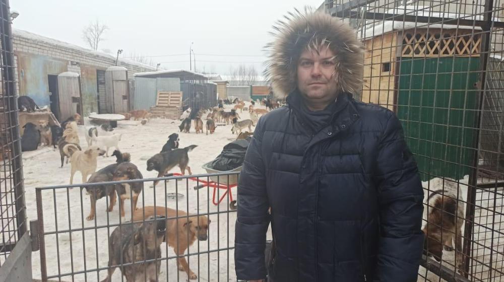 Рязанские коммунисты добиваются создания приюта для бездомных животных