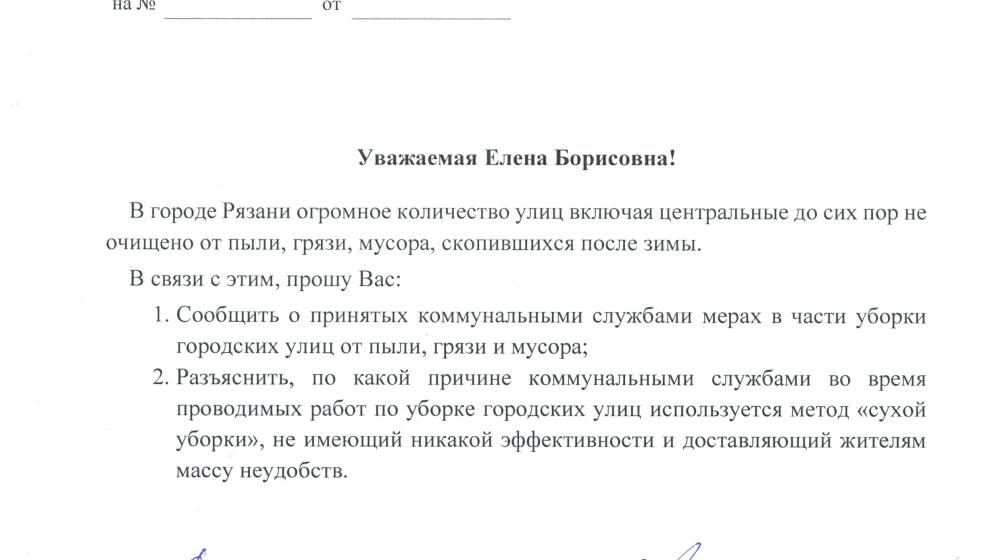 Лидер рязанских коммунистов Денис Сидоров: "Рязань завалена мусором"