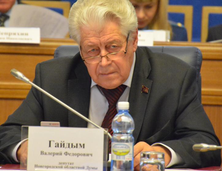 Новгородская область. К нам в деревню тянут газ, значит выборы у нас
