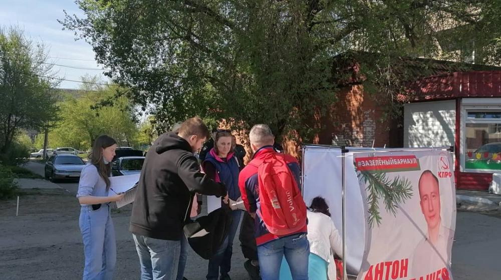 Алтайский край. Коммунисты проводят акцию "Кедр в каждый двор"