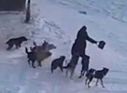 В Якутске произошла леденящая душу трагедия