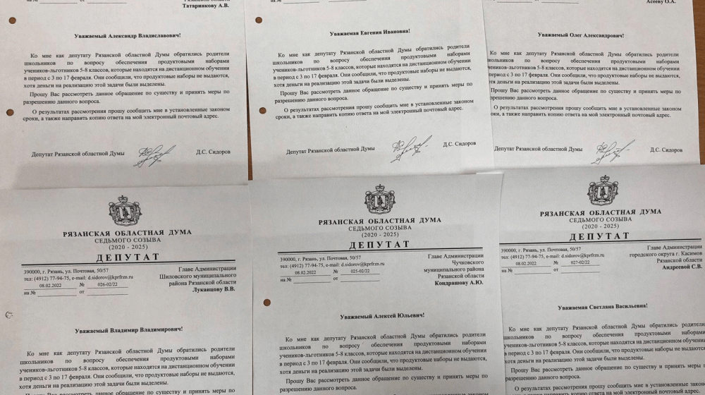 Рязанская область. После вмешательства Дениса Сидорова рязанским школьникам-льготникам выдадут продуктовые наборы
