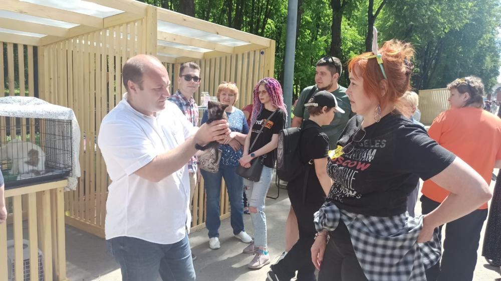 В Рязани прошла выставка животных «Пойдем домой»