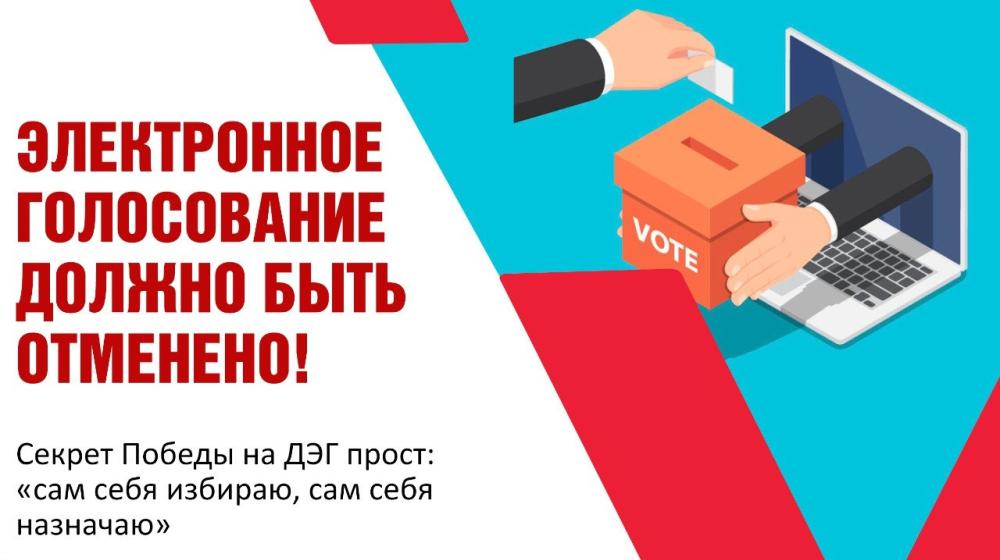 Ольга Алимова: "Электронное голосование должно быть отменено!"
