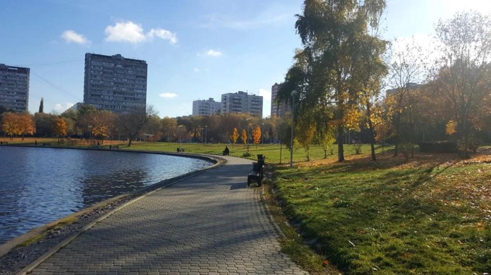 Москва. Активисты Народной приемной намерены продолжить борьбу за удобство и чистоту Гольяновского парка