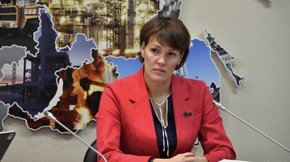 Ирина Филатова провела в Госдуме заседание по вопросу государственных заказов и закупок фармацевтических препаратов