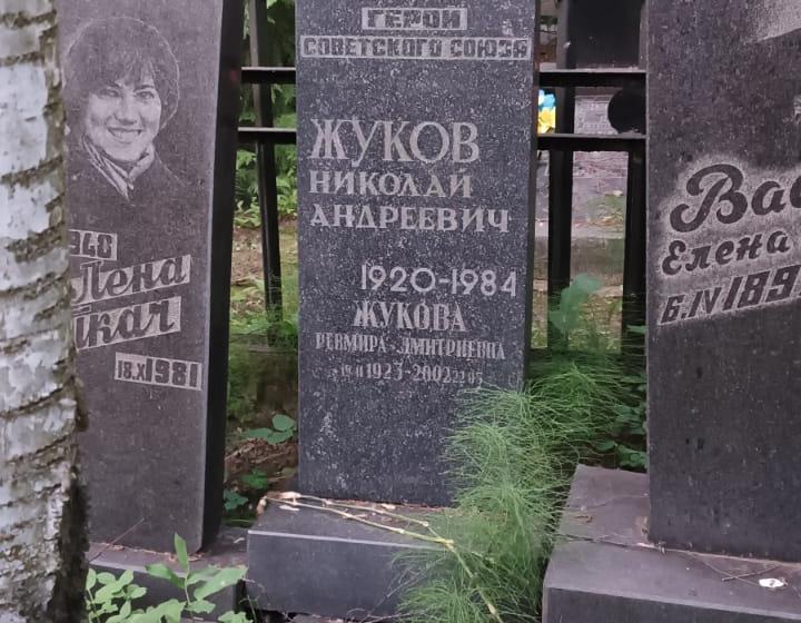 Разруха вместо памяти: На кладбище в подмосковном Королёве забыли о порядке