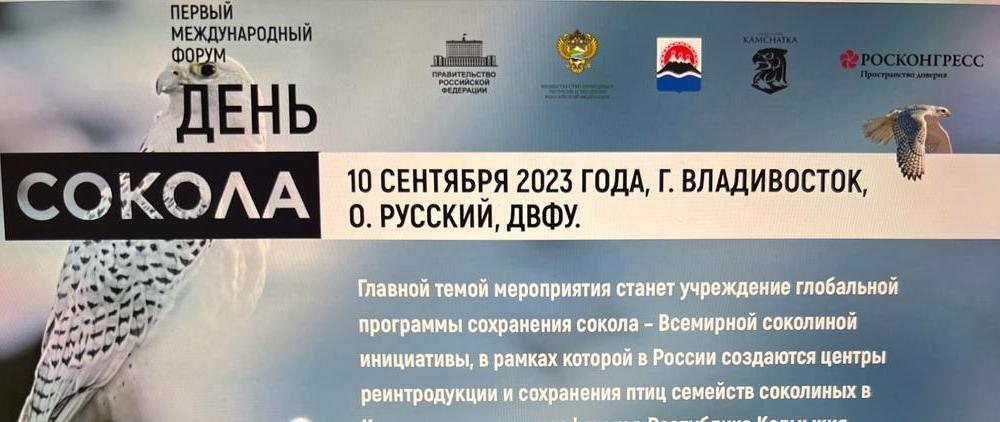 «И смех, и грех». С.П. Обухов про решение правительства «Взвейтесь, соколы, орлами»