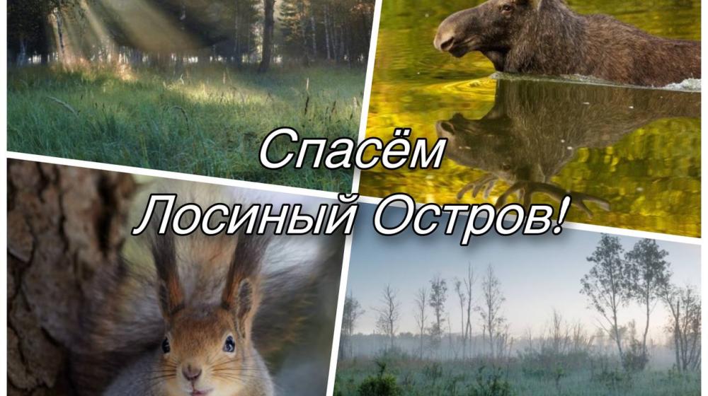 Сергей Обухов - про ответ из Администрации Президента по Лосиному острову и очередные обещания от Собянина