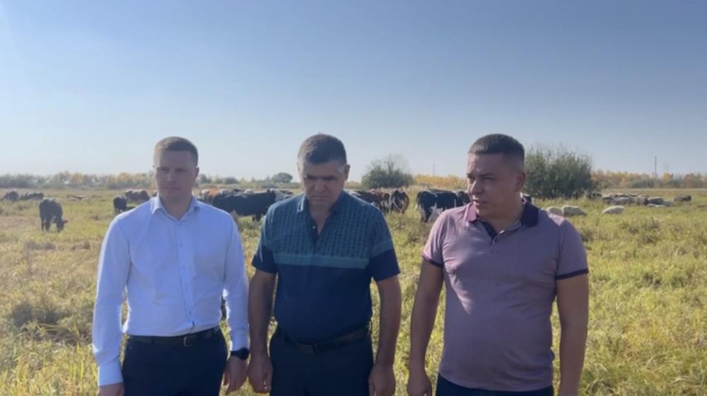 Айрат Гибатдинов защищает права фермера Эйваза Гасымова