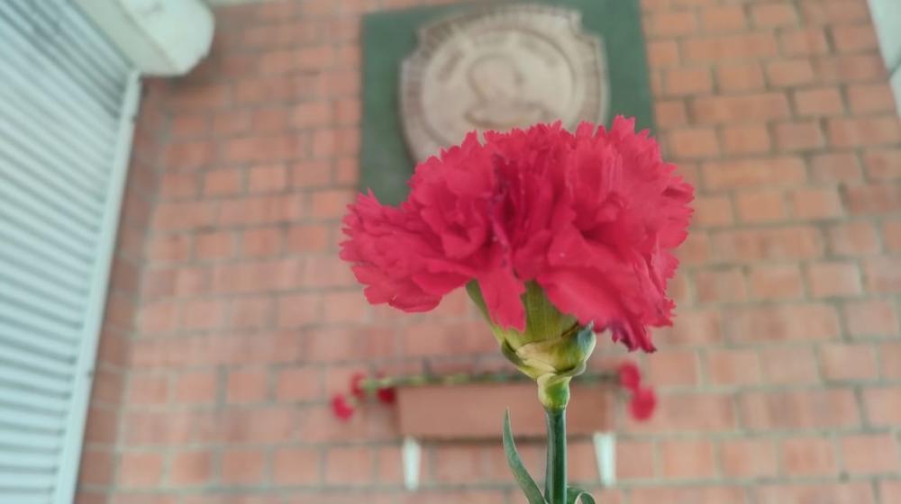 Коммунисты Забайкалья возложили цветы в честь 144-й годовщины со дня рождения Сталина