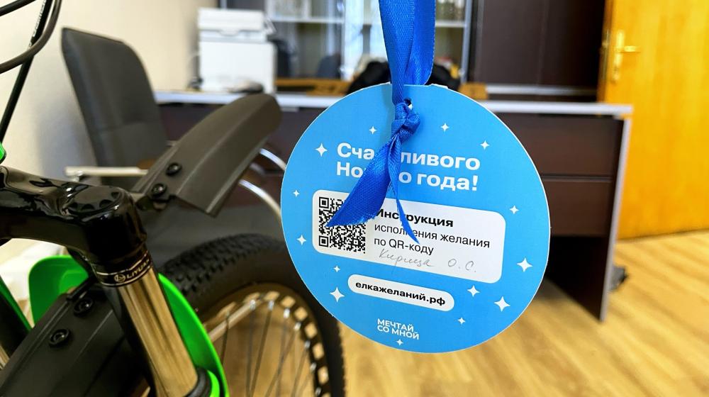 Депутаты Законодательного Собрания Нижегородской области и городской Думы Нижнего Новгорода от фракции КПРФ приняли участие в акции «Елка желаний»
