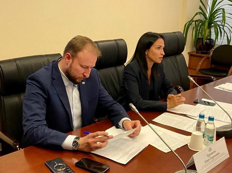 Анастасия Удальцова провела в Государственной Думе очередное заседание Рабочей группы по вопросам миграции