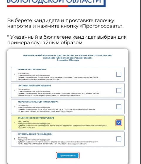 В Вологодской области агитация за кандидата от "ЕР" идёт прямо на странице ДЭГ в Госуслугах