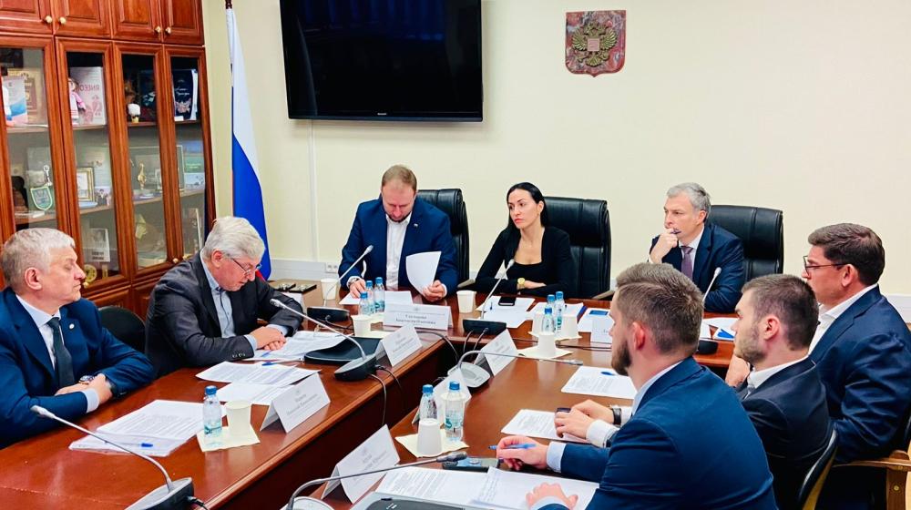 Анастасия Удальцова провела рабочую встречу с заместителем Министра труда РФ Дмитрием Платыгиным